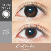 EverColor 1 Day Color Contact lenses Natural Black (20p)